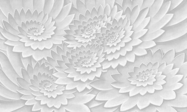 輸入壁紙 カスタム壁紙 PHOTOWALL / Flower on Canvas - Grey (e337817)