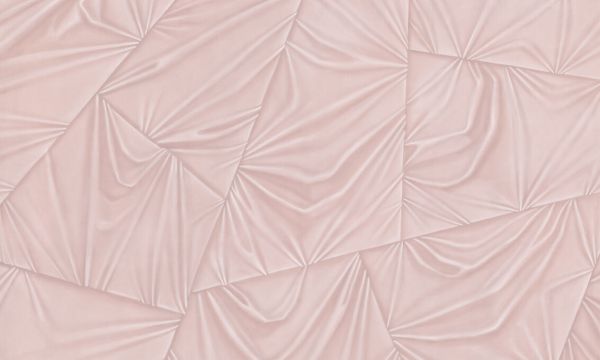 輸入壁紙 カスタム壁紙 PHOTOWALL / Veiled - Perfect Pink (e337841)
