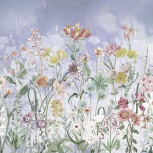輸入壁紙 カスタム壁紙 PHOTOWALL / Wildflowers Primula (e84078)