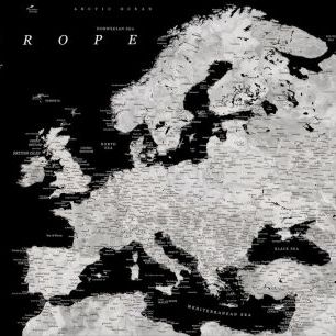 輸入壁紙 カスタム壁紙 PHOTOWALL / Black and Grey Detailed Map of Europe (e84208)