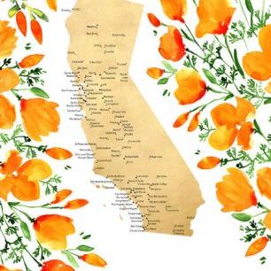 輸入壁紙 カスタム壁紙 PHOTOWALL / California Poppies State Map (e84222)