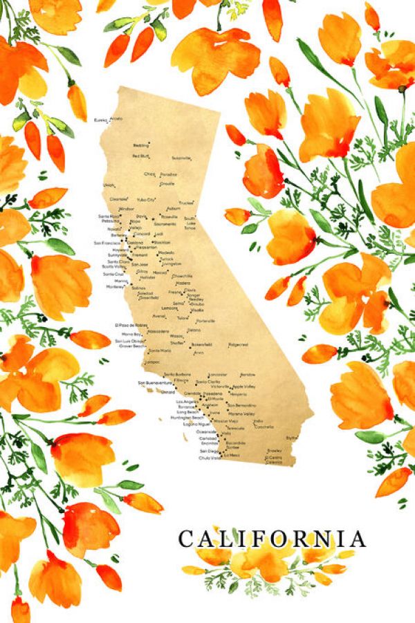 輸入壁紙 カスタム壁紙 PHOTOWALL / California Poppies State Map (e84222)