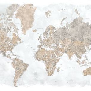 輸入壁紙 カスタム壁紙 PHOTOWALL / Calista High Detail World Map (e84223)