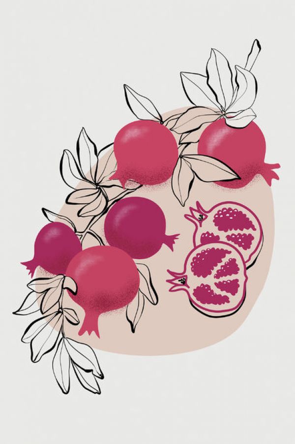 輸入壁紙 カスタム壁紙 PHOTOWALL / Fathia Pomegranates (e84239)