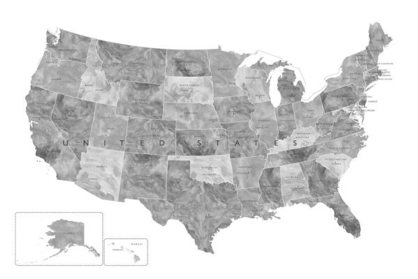 輸入壁紙 カスタム壁紙 PHOTOWALL / Gray Map of the US (e84263)