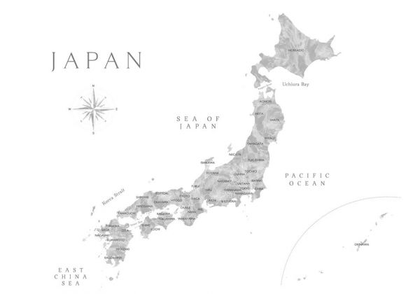 輸入壁紙 カスタム壁紙 PHOTOWALL / Gray Watercorlor Map of Japan (e84271)