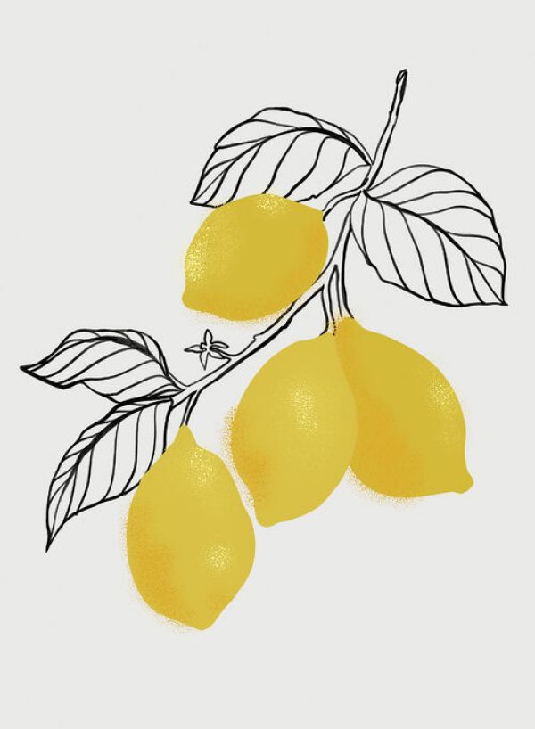 輸入壁紙 カスタム壁紙 PHOTOWALL / Lamya Lemons (e84290)