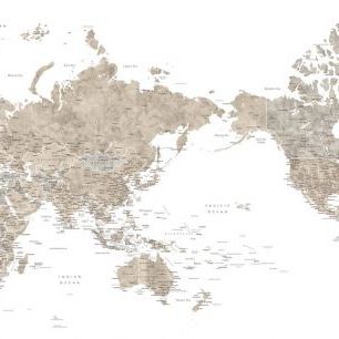輸入壁紙 カスタム壁紙 PHOTOWALL / Pacific Centered World Map in Taupe (e84329)