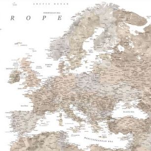 輸入壁紙 カスタム壁紙 PHOTOWALL / Taupe Detailed Map of Europe (e84359)