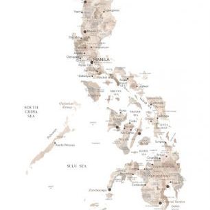 輸入壁紙 カスタム壁紙 PHOTOWALL / Taupe Watercolor Map of Philippines (e84361)