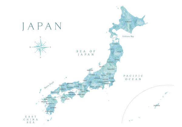 輸入壁紙 カスタム壁紙 PHOTOWALL / Teal Watercolor Japan Map (e84365)