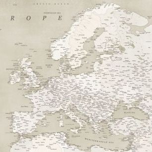 輸入壁紙 カスタム壁紙 PHOTOWALL / Vintage Looking Detailed Map of Europe (e84369)