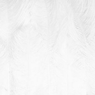 輸入壁紙 カスタム壁紙 PHOTOWALL / Surface of White Feathers (e84455)