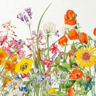 輸入壁紙 カスタム壁紙 PHOTOWALL / Vibrant Spring Flowers (e84845)