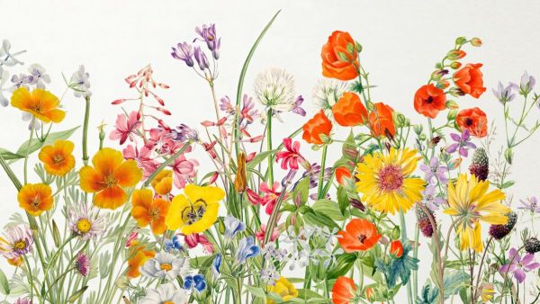 輸入壁紙 カスタム壁紙 PHOTOWALL / Vibrant Spring Flowers (e84845)