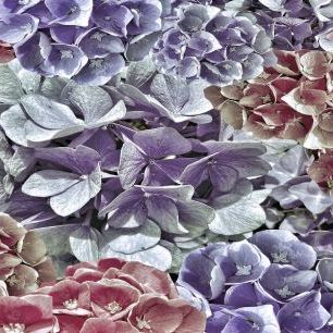 輸入壁紙 カスタム壁紙 PHOTOWALL / Flowers Collage (e337207)