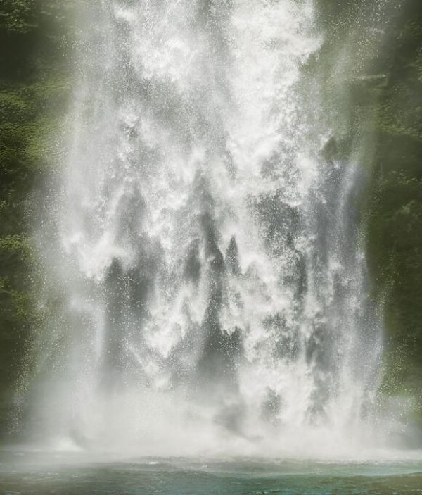 輸入壁紙 カスタム壁紙 PHOTOWALL / Tropical Forest Waterfall (e84409)