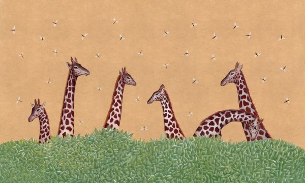 輸入壁紙 カスタム壁紙 PHOTOWALL / Giraffes (e84128)