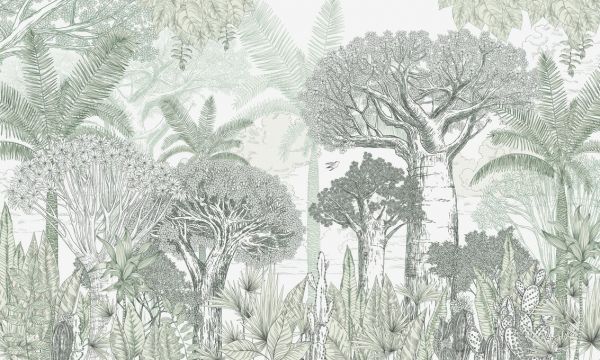 輸入壁紙 カスタム壁紙 PHOTOWALL / Fascinating Baobab Trees - Green (e85615)
