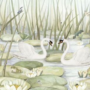 輸入壁紙 カスタム壁紙 PHOTOWALL / Spectacular Swans (e92644)