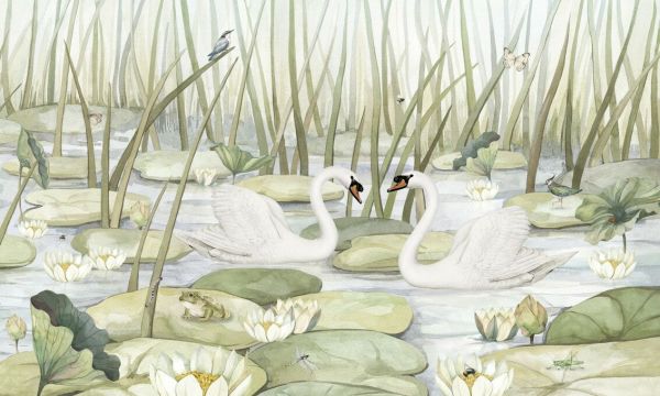 輸入壁紙 カスタム壁紙 PHOTOWALL / Spectacular Swans (e92644)