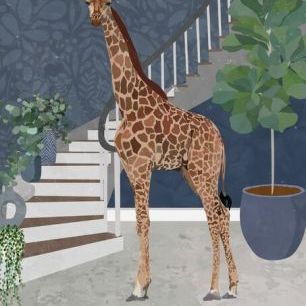 輸入壁紙 カスタム壁紙 PHOTOWALL / Giraffe by the Stairs (e85647)