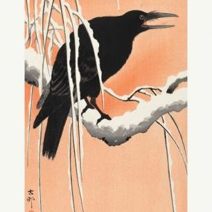 輸入壁紙 カスタム壁紙 PHOTOWALL / Crow on Snowy Branch (e85697)