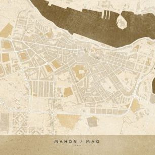 輸入壁紙 カスタム壁紙 PHOTOWALL / Mahon Map II (e331368)
