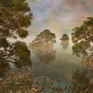 輸入壁紙 カスタム壁紙 PHOTOWALL / Watercolor Lake - Sunset (e84597)