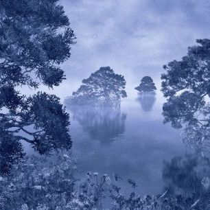 輸入壁紙 カスタム壁紙 PHOTOWALL / Watercolor Lake - Ink Blue (e84599)
