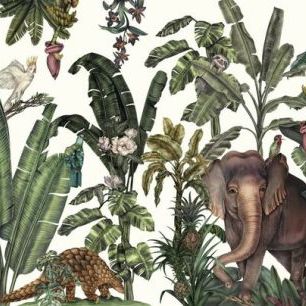 輸入壁紙 カスタム壁紙 PHOTOWALL / Elephant Jungles (e85301)