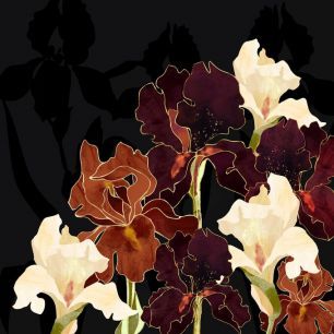 輸入壁紙 カスタム壁紙 PHOTOWALL / Autumn Iris (e85302)