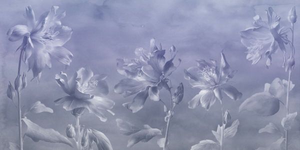 輸入壁紙 カスタム壁紙 PHOTOWALL / Columbine Flower - Monochrome Grey (e85407)