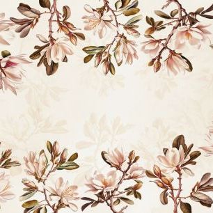 輸入壁紙 カスタム壁紙 PHOTOWALL / White Magnolias Pink (e85421)
