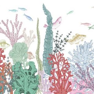 輸入壁紙 カスタム壁紙 PHOTOWALL / Fishes and Sea Plants (e85443)