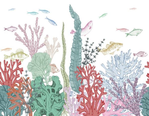 輸入壁紙 カスタム壁紙 PHOTOWALL / Fishes and Sea Plants (e85443)