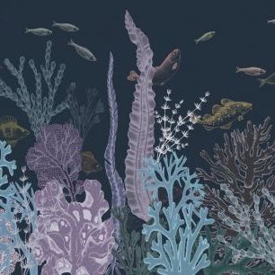 輸入壁紙 カスタム壁紙 PHOTOWALL / Fishes and Sea Plants III (e85445)