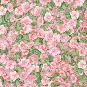 輸入壁紙 カスタム壁紙 PHOTOWALL / Begonia Flower the Power of Pink (e92874)