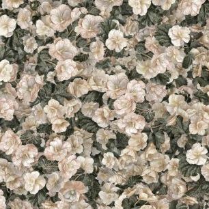 輸入壁紙 カスタム壁紙 PHOTOWALL / Begonia White Flower (e92875)