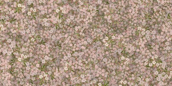 輸入壁紙 カスタム壁紙 PHOTOWALL / Cherry Blossom (e92878)