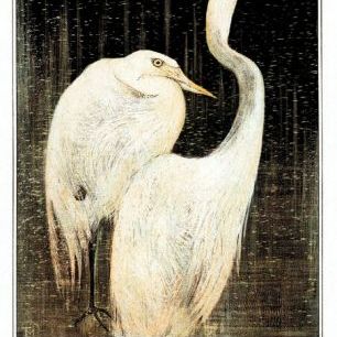 輸入壁紙 カスタム壁紙 PHOTOWALL / Two Egrets (e93266)