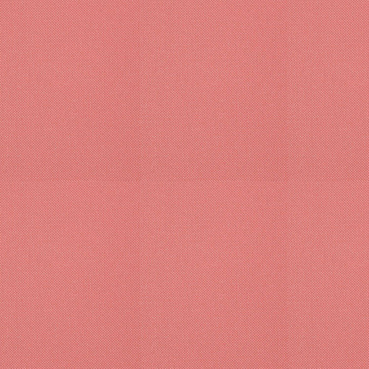 サーモン ピンク 壁紙 かわいい犬のアニメ