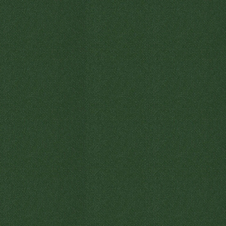 サンプル ロールスクリーン 立川機工 洗えるタイプ Tr 5177 千歳緑色 壁紙屋本舗