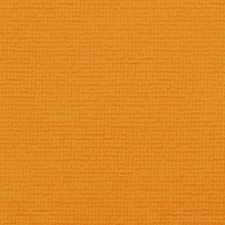 キャロットオレンジ carrot orange