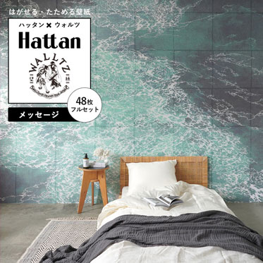 Hattan × WALLTZ / あらきかずま / メッセージ